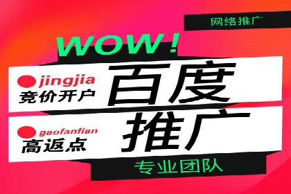 深度解析SEM推广代运营的成功案例及策略
